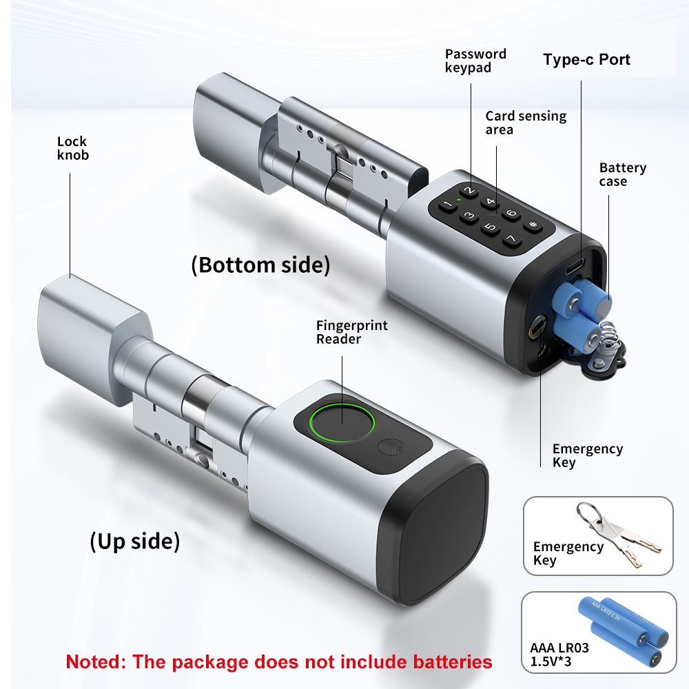 RAYKUBE V1 Tuya BLE TT Lock Sm - Unique Electronics Gadgets 评论和价格