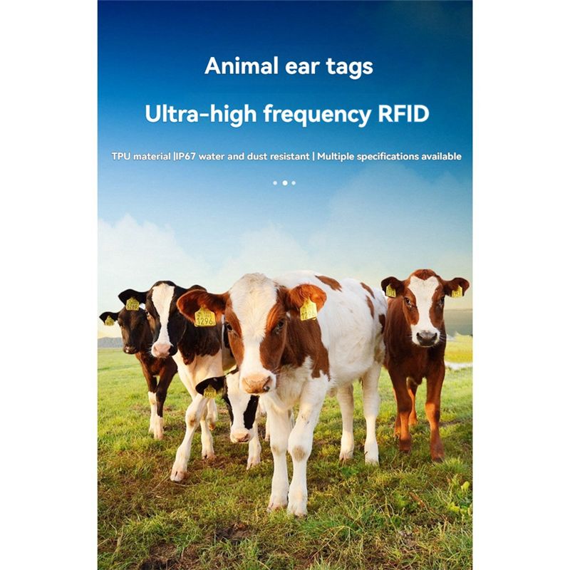ELECT-100Pcs RFID Animal Ear T - Election Electronics & Gadgets Store Woocommerce Theme 评论和价格
